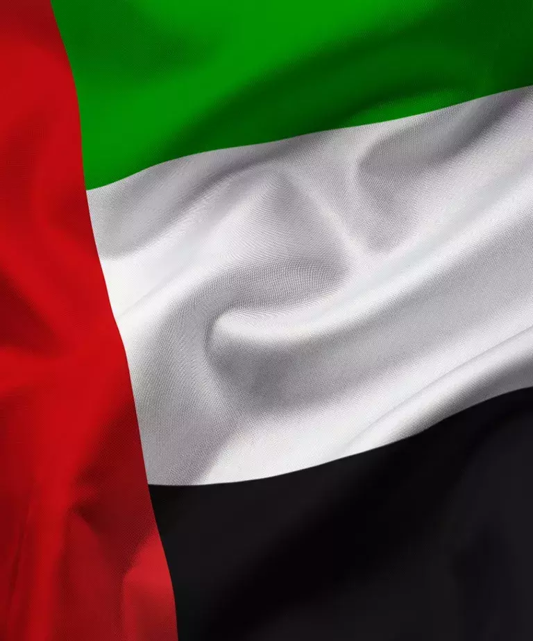 UAE National Day Celebration